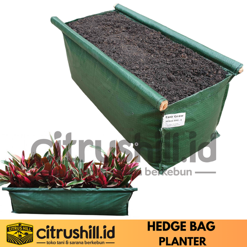 Citrushill id pot persegi panjang hedge bag - masukkeranjang.com